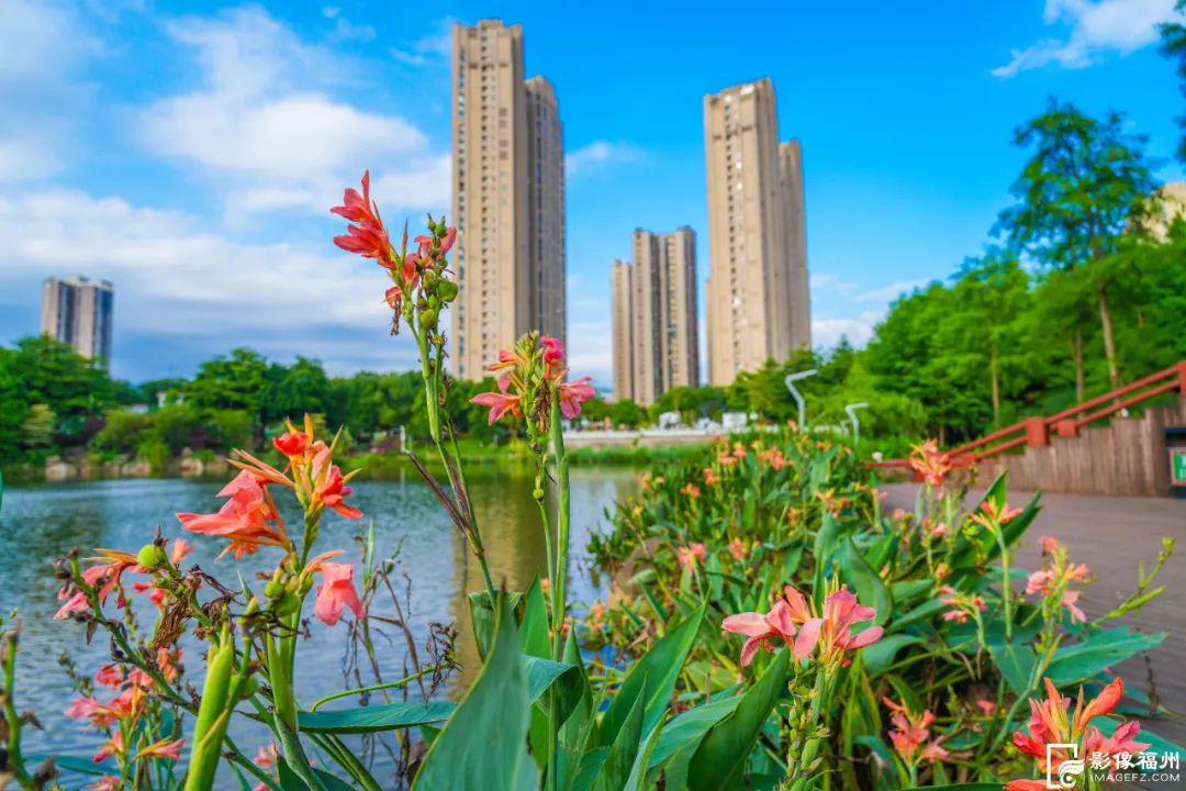 六月,福州公园赏花地图请收好! 六月,福州公园赏花地图请收好!