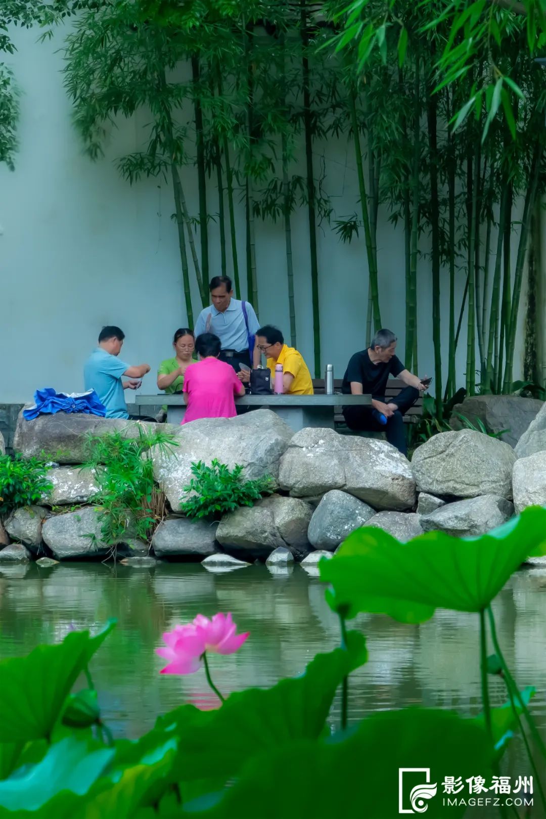 福州赏荷，去哪里？